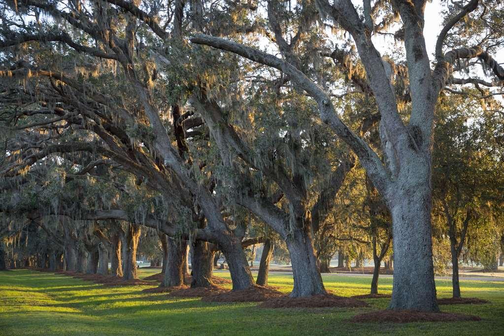 The Lodge At Sea Island St. Simons Island Kemudahan gambar