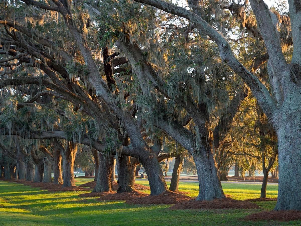 The Lodge At Sea Island St. Simons Island Luaran gambar